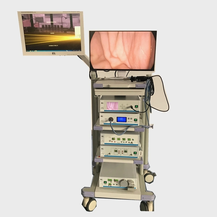 Mt Medical Surgical Reusable Laparoscopic Forceps/Laparoscopy Instruments