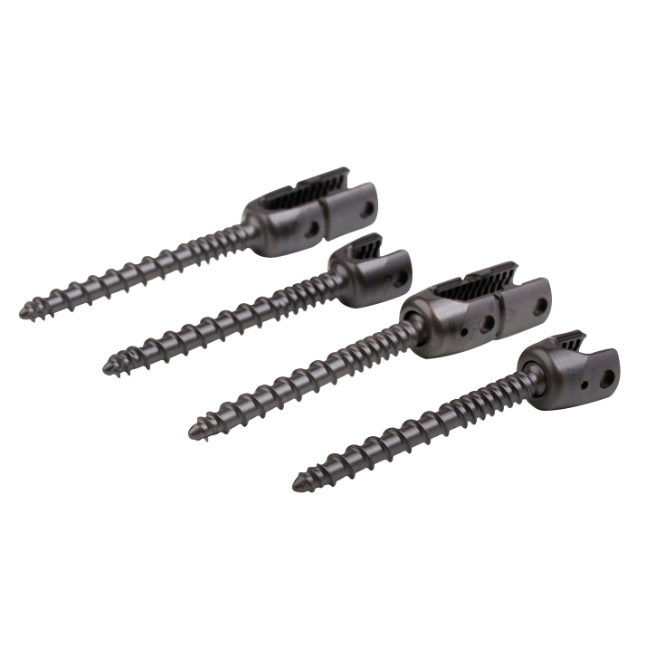 Canesp Orthopedic Implants Spinal Pedicle Screw 5.5/6.0 Rod System