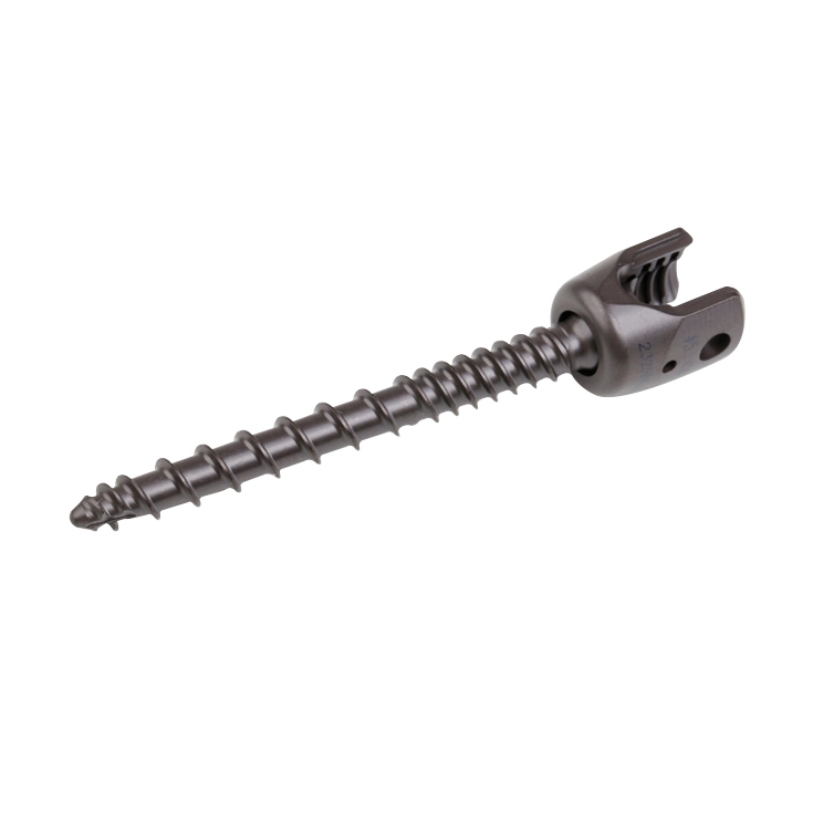 Canesp Orthopedic Implants Spinal Pedicle Screw 5.5/6.0 Rod System