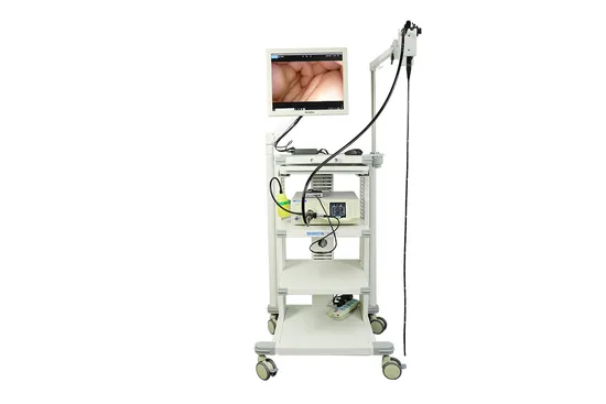 Veterinary Gastroscope Animal Endoscopy Equine Gastroscope Equine Endoscope Veterinary Endoscope 