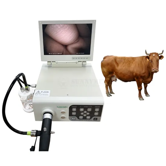 Sy