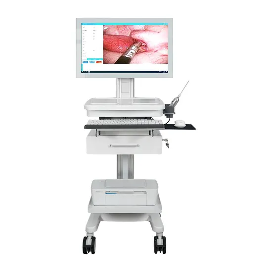 Good Price 1080P HD Medical Disposable Endoscope for Ent 