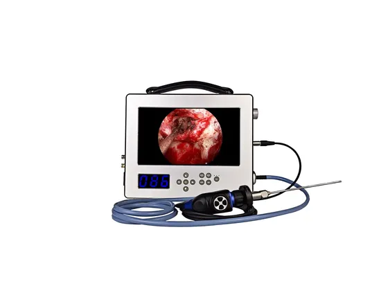 11inch Ent Portable Endoscope Camera System Hight Quality 